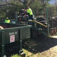 Cleanup-Tires.jpg
